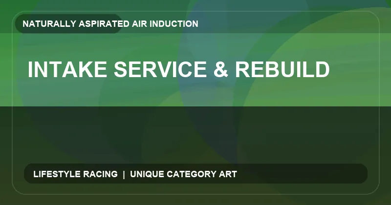 Intake Service & Rebuild